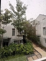 The Greenwood (D11), Terrace #566664951